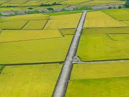 遊記 台中市外埔區 2020 11 13現況 台中外埔忘憂谷 大地拼布之金黃稻浪美景 季節限定美景 波斯菊花海 與忘憂巴士一起忘憂 賞花秘境 外埔粉紅薑荷花花海 ig fb熱門打卡景點 位置 怎麼去 路線sop圖 交通 拍攝點 gps座標 風の攝影趣 痞客邦