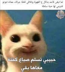 𓆩𝑻𝑾𝑬𝑬𝑻𝑨 𝐄𝐆𝒀 𓆪 on instagram تابعوا اعمق صفحة بتعبر عن حالتك tweeta egy tweeta eg funny love jokes funny dude funny relatable memes