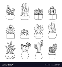 See more ideas about drawings, succulents drawing, succulent art. Line Style Cactus And Succulents Set Royalty Free Vector Cactus Drawing Easy Doodle Art Simple Doodles