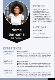 business professional resume sample a4