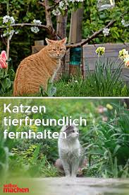 Pin Auf Diy Tiere
