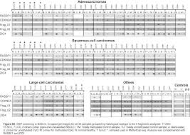 Pdf Genome Wide Dna Methylation Profiling Of Non Small Cell