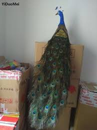 Feather mini craft decoration artificial bird peacock decoration bird. Long Tail Beautiful Feathers Artificial Peacock Bird Model Large 130cm Peacock Handicraft Prop Home Garden Decoration Gift P Peacock Bird Peacock Decor Peacock