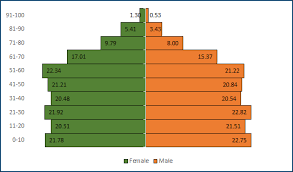 When working in excel sorting data can quickly reorganize content too. Simple 8 Steps To Create A Population Pyramid Chart In Excel Template