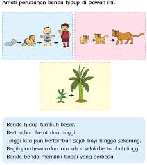 Berikut adalah kunci jawaban buku tematik halaman 29, 30, 31, 33, 34 kelas 4 sd tema 7 subtema 1 pembelajaran 4. Tema 7 Benda Hewan Dan Tanaman Di Sekitarku Ratna S Blog