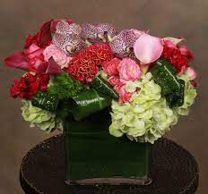 We did not find results for: Same Day Flower Delivery In New York City