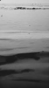 W x varying l solid hardwood flooring (20 sq.ft./case) crafted with precision and an eye for detail, crafted with precision and an eye for detail, bruce american originals hardwood provides classic appeal and inspired design possibilities to transform your home. Https Www Degruyter Com Document Doi 10 1515 9780822393153 Pdf