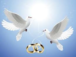 Tauben Zur Hochzeit Sind Bestimmt Ein Glucksbringer Archzine Net Tauben Hochzeit Vektorfrei Hochzeit