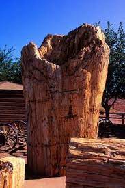 This summer, relax by the pool during the day, take in the sights and explore the wonders of the desert after dark. R U Scared Cos I M Petrified