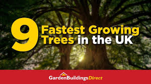 A Guide To The 9 Fastest Growing Uk Trees