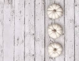 Fresh ripe white pumpkin with dry stem placed on white background. White Pumpkin Pictures Download Free Images On Unsplash