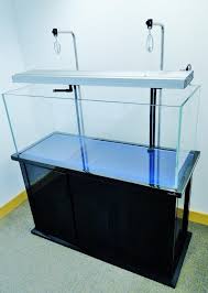 Electronics Cars Fashion Collectibles Coupons And More Ebay Muebles Para Peceras Decoracion De Acuarios Acuario De Casa
