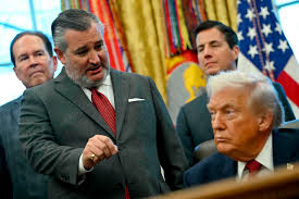 Toprepublikanere og minister advarer mod Trumps plan for flyselskab: »En forfærdelig idé« | Virksomheder | Business