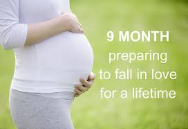 Life decision quotes in tamil. Top Motivational Pregnancy Quotes Sayings