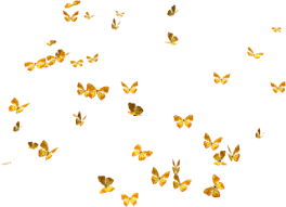 25,142 transparent png illustrations and cipart matching butterflies. Butterflies Png Butterflies Transparent Background Freeiconspng