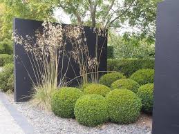 Buxus Ball Black Wall Stipa Modern Landscape Design Garden Design Garden Inspiration