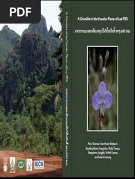 Image result for Ophrestia radicosa