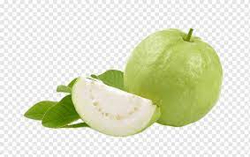 Jambu png cliparts, all these png images has no background, free & unlimited downloads. Jambu Hijau Jus Jambu Biji Buah Sayuran Sirsak Jus Makanan Alami Makanan Jeruk Png Pngwing