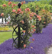 Charleston Rose Pillar By Classic Garden Elements Classic Garden Garden Arches Garden Design