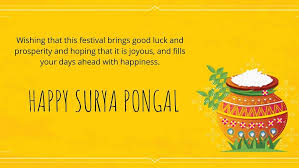Wish you a very happy pongal. Happy Surya Pongal 2021 Images Hd Pictures Ultra Hd Photographs High Quality Photographs High Resolution Photos And 4k Dp