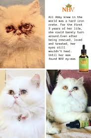 You can use a timer to keep track of the time between kittens to make sure there isn't a problem. Pin On Cats