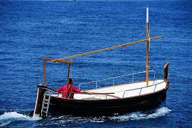 Nautica Palamos Embarcaciones Menorquin 31 Solarium Boat Solarium Cove