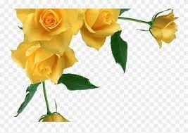 Maybe you would like to learn more about one of these? Vintage Rose Border Corner Transparent Yellow Flowers Frame Png Clipart 3462276 Pinclipart