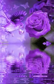 Beautiful flowers gif animated image &gifs. Purple Flowers Gifs Tenor