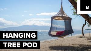 Tree hanging bag with free shipping. Hanging Tree Pod Youtube