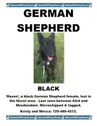Lost Dog Alert Raven A Black German Shepherd From National Mill Dog Rescue In Colorado Is Missing Rescue Dogs Losing A Dog Pet Store Puppies