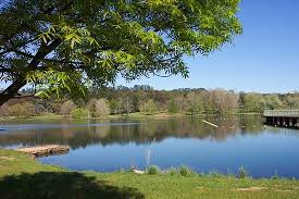 Steeped in history, duntryleague is one of the regions premier venues and is regarded by many as the most elegant landmark in orange, nsw. Coffee Time Review Of Lake Canobolas Orange Australia Tripadvisor