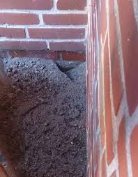 Sie können bis zu 25 hoch und 30 cm breit aufgetürmt werden. Im Garten Locher Ratten