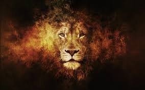 58 Cool Lion Wallpapers Hd 4k 5k For Pc And Mobile Download Free Images For Iphone Android