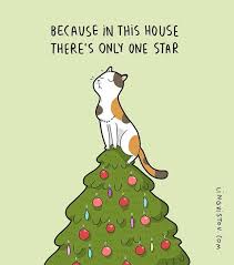 Pet insurance is a health care policy for your pet that reimburses you for certain medical expenses. Lingvistov On Instagram Get 25 Off Everything Use Coupon Meowyxmas Until December 10th Lingvistov Com Lingvistov Christmas Gi Owning A Cat Cats Pets