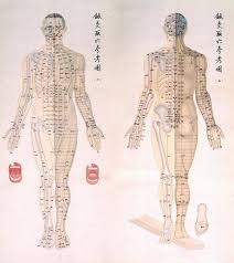 Chinese Chart Of Acupuncture Points 1 Poster