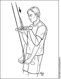 To alleviate the excruciating pain, first, stop moving your arm or wrist. Exercises For Tennis Elbow American Family Physician