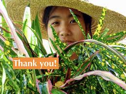 Trading rainbow mimic 0 hunger nihonzaru