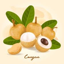 Hardy subtropical tree can withstand temperature drops to 25f; Premium Photo Logans Fruit In South East Asia Delicious Fresh Food On White Background Isolate Fruit In Thailand Call Logan