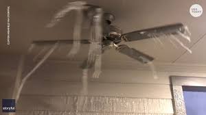A fan ceiling is a great. Ice Hangs Off Ceiling Fan In Texas One Of Many Surreal Winter Photos