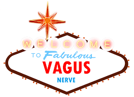 Image result for Vausagesia