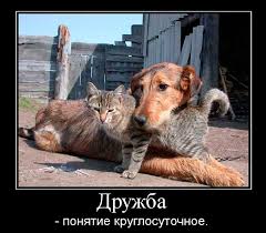 Сразу же на сердце будет веселее! S Dnem Druzej Smeshnye Kartinki