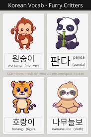 Korean words for monkey, panda, tiger, and sloth | Learn korean, Japanese  language lessons, Korean words