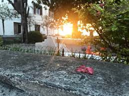 18 anniversario di matrimonio 18 anni di matrimonio: Cena Anniversario Matrimonio 18 Anni Picture Of Gostilna Park Piran Tripadvisor