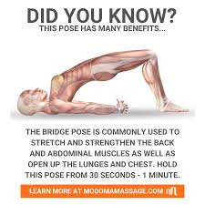 Did You Know How To Do Yoga Bridge Pose Abdominal Muscles