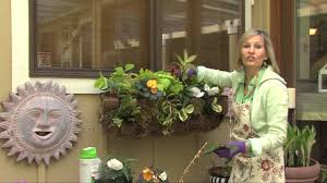 Maybe you would like to learn more about one of these? Shade Annuals Window Box Youtube