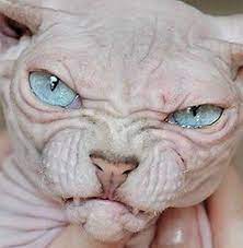 pin na doske mistika