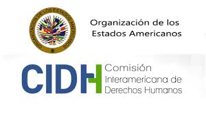 What is the purpose of apm's cidh piles? Informe Anual 2018 De La Cidh Venezuela Cepaz