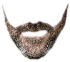 Upload a clear, focused and well lit photo without glasses and with no hair on your face or neck. Beard Simulator