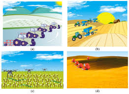 Image result for Agricultural Yellow 2000 Fleet