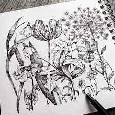 Alice On Instagram Floral Page A Page From My Sketchbook There Is A Lily A Tulip A Snowdrop An Allium And Others Sketch Book Instagram Lily